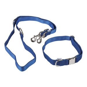 zoofari® Obojok na psa s vôdzkou (M, modrá)