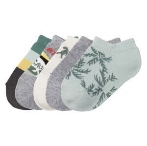 lupilu® Chlapčenské ponožky, 5 párov (23/26, biela/zelená/sivá)