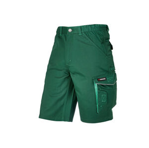 PARKSIDE® Pánske pracovné šortky (58, zelená)