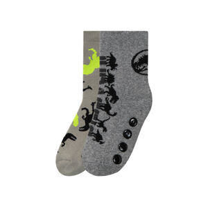 Chlapčenské plyšové ponožky, 2 páry (31/34, Jurský svet)