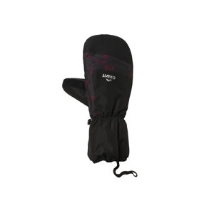 CRIVIT Pánske lyžiarske rukavice (8,5, čierna/palčiaky)