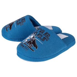 Chlapčenské papuče (26, modrá)