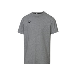 Puma Pánske tričko TeamGoal 23 Casual (XL, sivá)