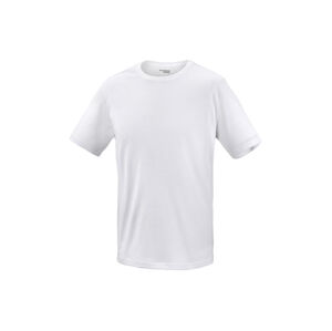 PARKSIDE PERFORMANCE® Pánske funkčné tričko (L (52/54), biela)