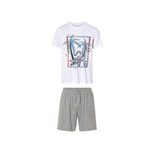 LIVERGY® Pánske pyžamo (M (48/50), biela/sivá)