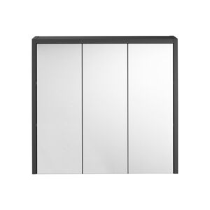 LIVARNO home Zrkadlová skrinka Oslo, 65 x 60 x 17 cm, antracitová