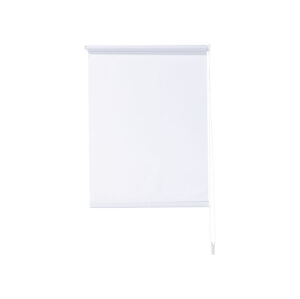 LIVARNO home Roleta prepúšťajúca denné svetlo, 60 x 150 cm (biela)