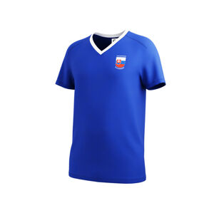 Pánsky dres UEFA EURO 2024 Slovensko (XL (56/58), modrá)