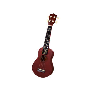 Hudobný nástroj, flauta/ukulele (ukulele)
