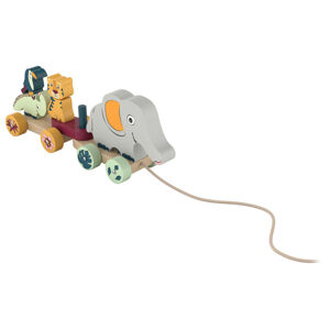 Playtive Drevená hračka na rozvoj motoriky (zvieratá – safari)