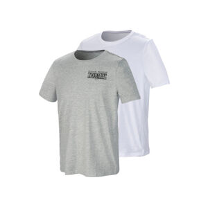 PARKSIDE® Pánske tričko, 2 kusy (S (44/46), biela/sivá)